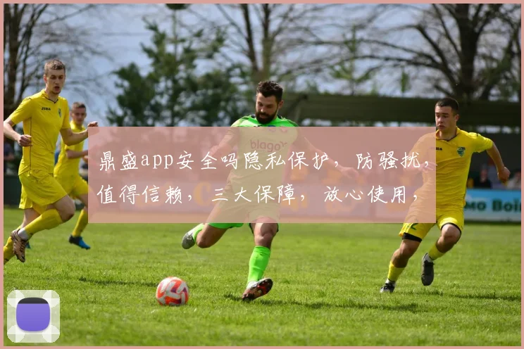 鼎盛app安全吗隐私保护，防骚扰，值得信赖，三大保障，放心使用，体验无忧。