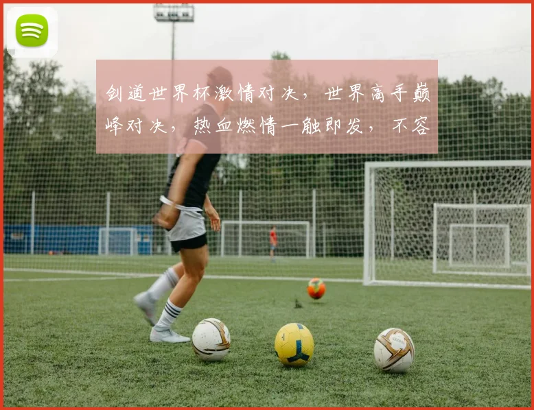 剑道世界杯激情对决，世界高手巅峰对决，热血燃情一触即发，不容错过