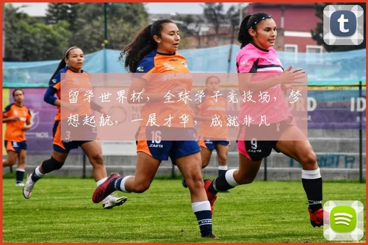 留学世界杯，全球学子竞技场，梦想起航，一展才华，成就非凡