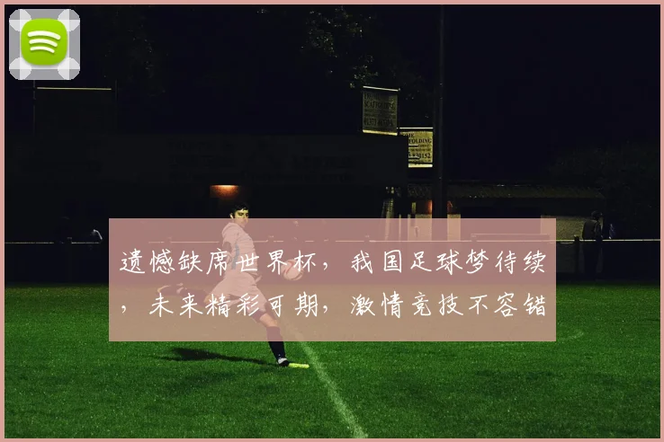 遗憾缺席世界杯，我国足球梦待续，未来精彩可期，激情竞技不容错过，共盼辉煌。