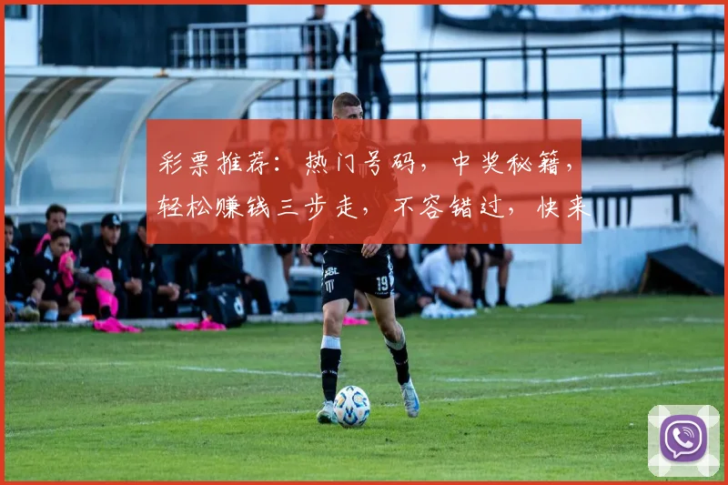 彩票推荐：热门号码，中奖秘籍，轻松赚钱三步走，不容错过，快来看看